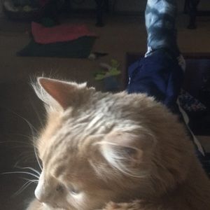 Meet your Posher, Sandi